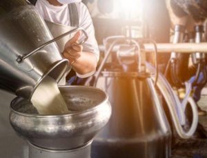 Süt ürünleri fiyatları yükseliyor – Şimdi gözler üreticilerde