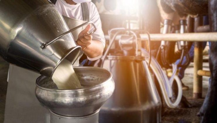 Süt ürünleri fiyatları yükseliyor – Şimdi gözler üreticilerde