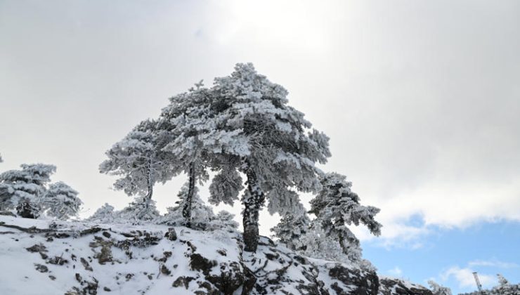 EMY acil durum bülteni: Önümüzdeki birkaç saat içinde Attika’da yoğun kar yağışı – Kötü hava “Barbara” için yeni tahminler