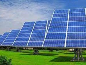 Teselya’daki çiftçilere ücretsiz elektrik sağlamak için ilk fotovoltaik park hazırlanıyor