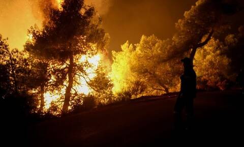 Zakintos’un Korithi köyünde büyük yangın