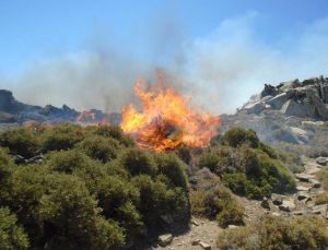 Naxos’ta Yangın Alarmı: Karadan ve Havadan Müdahaleler Sürüyor