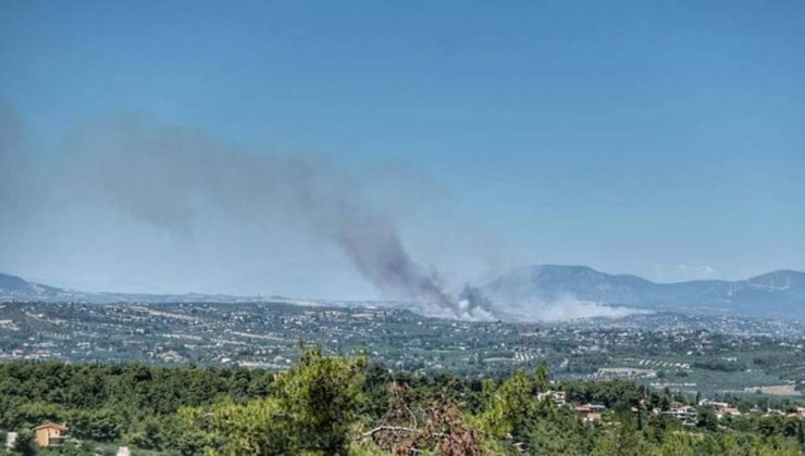 Atina’da kırsal bir bölgede yeni bir yangın çıktı