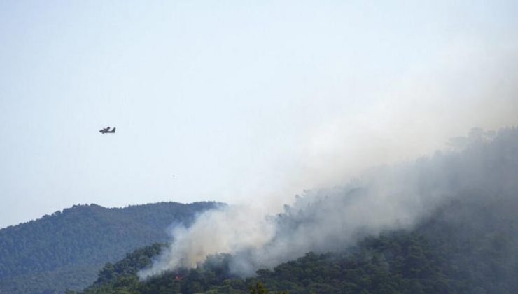 Yunanistan’da Orman Yangınları: İtfaiye Ekipleri Alevlerle Mücadele Ediyor