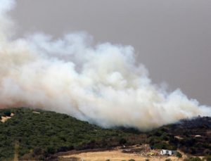 Yunanistan Evros’ta Yangın Kontrol Dışı Bir Hal Aldı