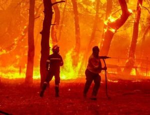 Yunanistan’da Yangınlar Şok rakamlara ulaştı, korkutucu senaryolar