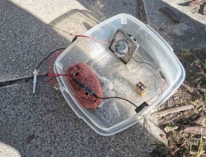 Atina: MAT Karakolu Yanında Bomba Bulundu