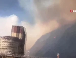 Çin’de orman yangını