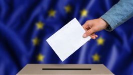 Avrupa seçimleri için geri sayım – Parlamento partilerinin stratejileri