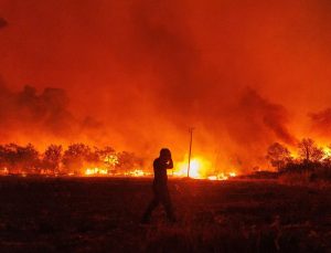 Yunanistan’da orman yangını: Türk vatandaşı gözaltında