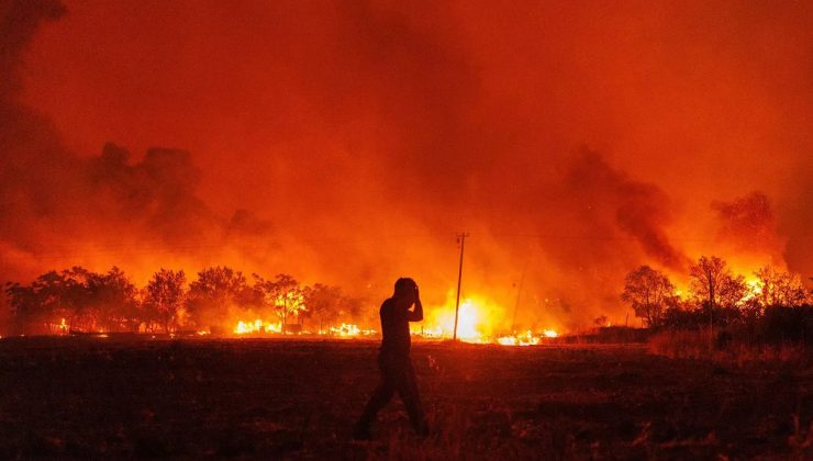 Yunanistan’da orman yangını: Türk vatandaşı gözaltında