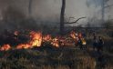 Yunanistan’da Son 24 Saatte 52 Orman Yangını