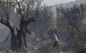 Yunanistan’da Yüksek Yangın Riski Devam Ediyor