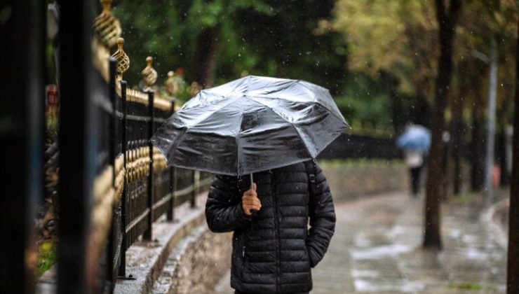 Kuraklık ve Bakanlığın kayıtsızlığı Rodoplu arıcıların belini bükmeye devam ediyor