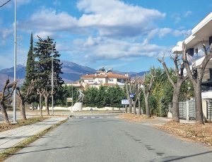 Gümülcine: İskeçe Caddesi’nde Ağaç Budama Uygulamaları ve Etkileri