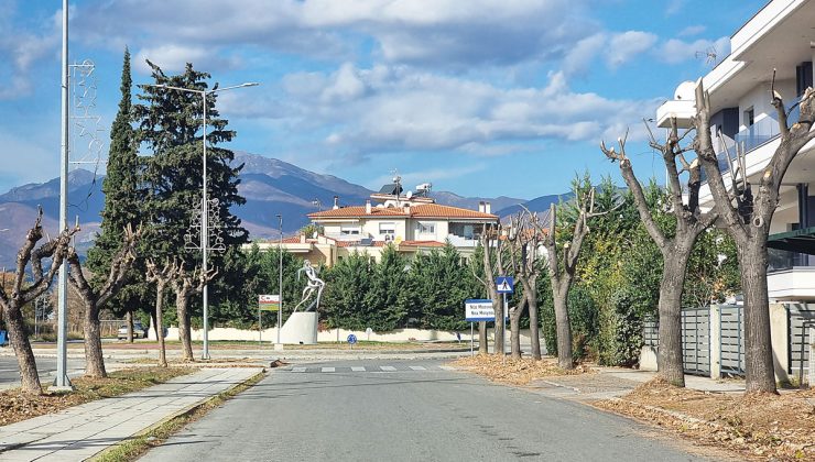 Gümülcine: İskeçe Caddesi’nde Ağaç Budama Uygulamaları ve Etkileri