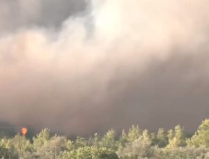 Oropos’ta Yangın: «İlkbahar çam ormanı yanıyor – Alevler Asprexori’ye çok yakın»