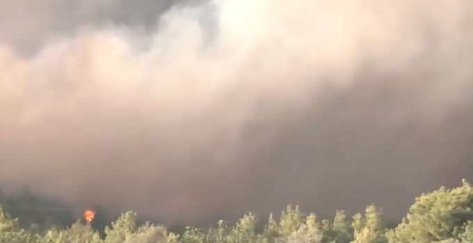 Oropos’ta Yangın: «İlkbahar çam ormanı yanıyor – Alevler Asprexori’ye çok yakın»