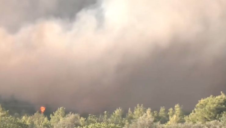 Oropos’ta Yangın: «İlkbahar çam ormanı yanıyor – Alevler Asprexori’ye çok yakın»