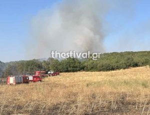 Selanik: Orman yangını Filio’da – 112 çağrısı yapıldı