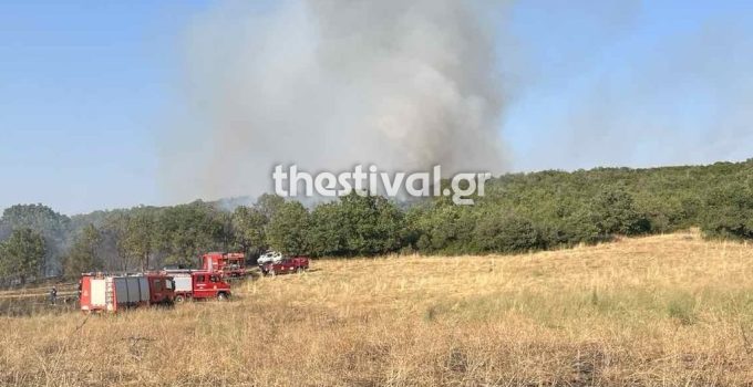 Selanik: Orman yangını Filio’da – 112 çağrısı yapıldı