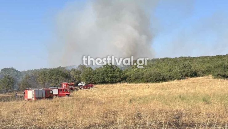 Selanik: Orman yangını Filio’da – 112 çağrısı yapıldı
