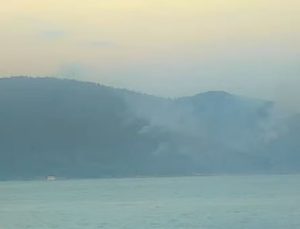 Yangın Thasos’ta geriledi – Ormanlık alan, bal peteği ve bir plaj barı ‘kül’ oldu